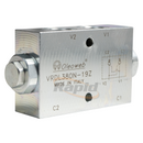 Dual Pilot Check Valve, Line Mount, 3/8 BSPP