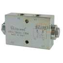 Dual Pilot Check Valve, Line Mount, 3/8 BSPP